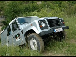 Landy